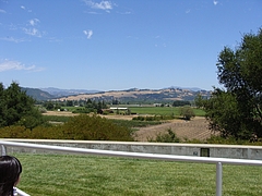 winery@sonoma, ca winery@sonoma, ca