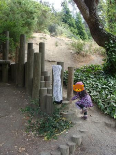 2009 1149