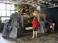 Monterey Bay Aquarium Monterey Bay Aquarium