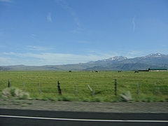 2009 319 2009 319
