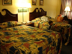 2009 141 2009 141