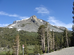2009 303 2009 303