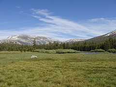 2009 298 2009 298