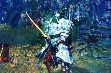 ds1-40