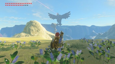 zeldabotw75