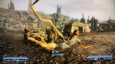 fo3-8-bug