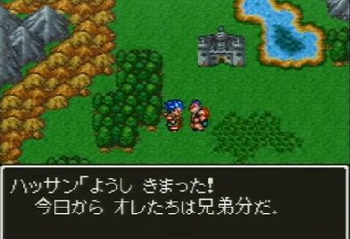 dq6-10