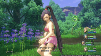 dq11-328-pahupahu
