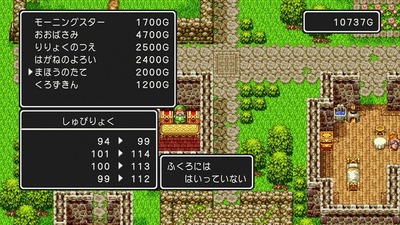 dq3-223-oobasami
