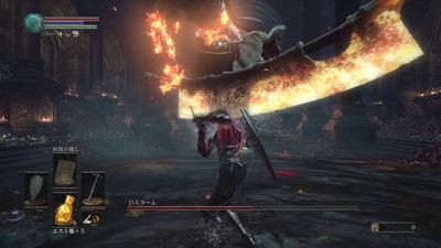 ds3-195