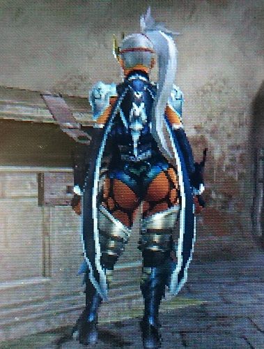 mhxx13