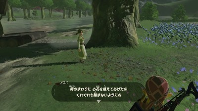 zeldabotw216