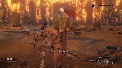 sekiro228-otyo