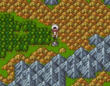 dq6-317