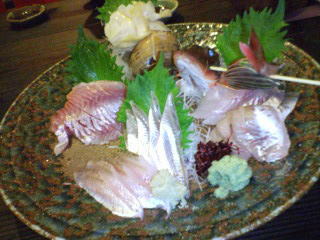 20090305