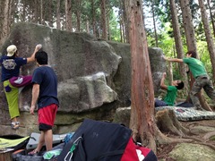 saki携帯 319