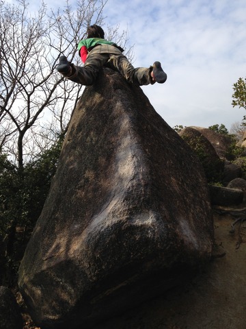 saki携帯 297