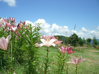 IMGP5936