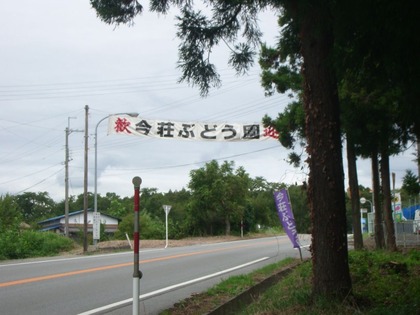 IMGP6049