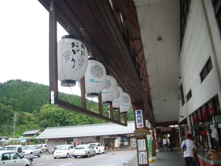 IMGP6031