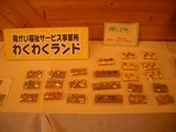 IMGP5567