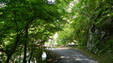 DSCN3352
