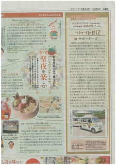 img-Z18173649