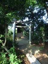 RIMG0297