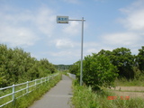 ĹÀ¸