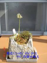 ޼ޮ޳޼ŽÞޮ޳ŽÊŽÞ޶ŽÏ´ó¤»¿¢¤¨¹çÀ®