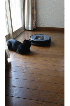 Roomba