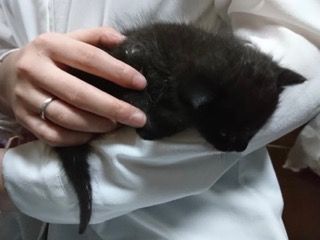 20171004