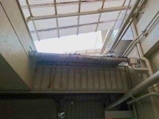 雨どい