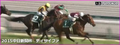 中日新聞杯 ディサイファ