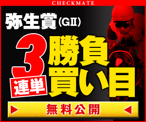 チェックメイト:弥生賞300_250