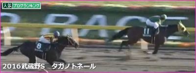 武蔵野S タガノトネール