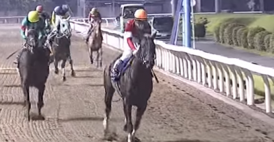 関東オークス クイーンマンボ