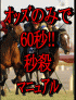 データ競馬オッズオンリー秒殺攻略マニュアル