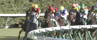 クイーンC テトラドラクマ