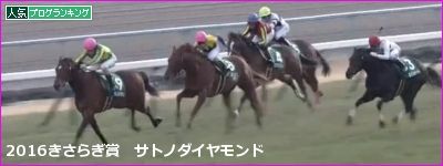 きさらぎ賞 サトノダイヤモンド