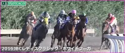 JBCレディスクラシック ホワイトフーガ