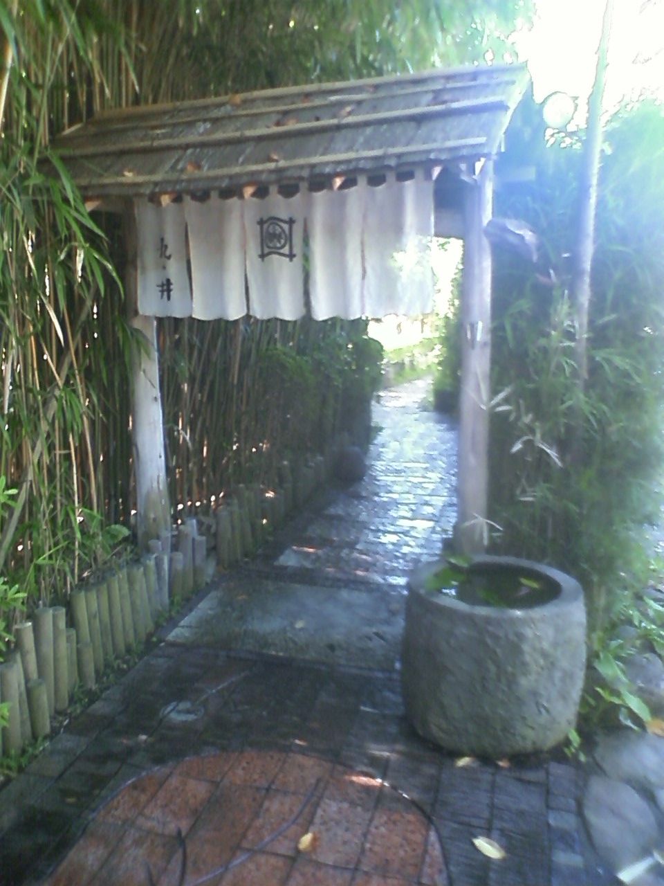 古閑美保のヌード の掲示板投稿写真＆画像