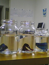 050521_1745~01.jpg