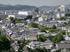 kurowiz11_25_R