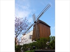 kurowiz15_30_R
