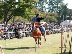 kurowiz20_17_R
