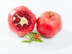 kurowiz11_36_R