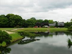 kurowiz15_33_R