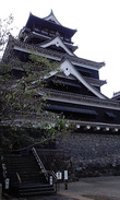 PAP_0036