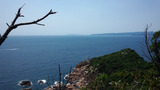 PAP_0019